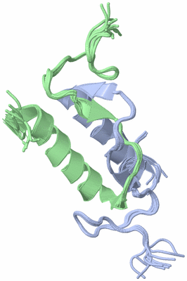 Image NMR Structure - all models