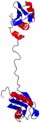 Image NMR Structure - model 1