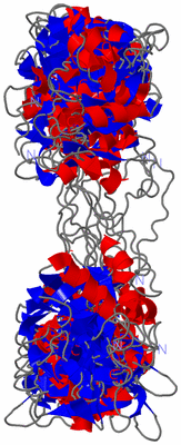 Image NMR Structure - all models