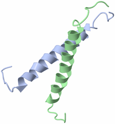 Image NMR Structure - model 1