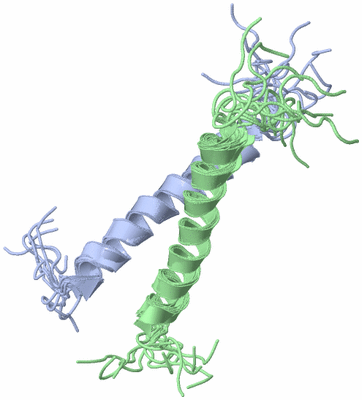 Image NMR Structure - all models