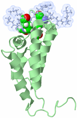 Image NMR Structure - model 1