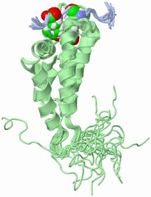 Image NMR Structure - all models