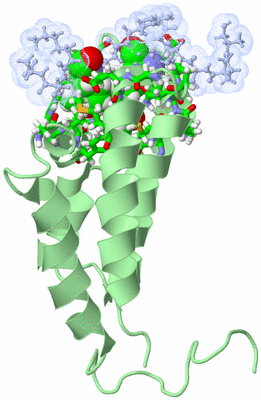 Image NMR Structure - model 1, sites