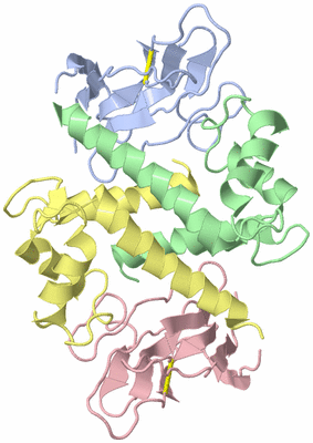 Image NMR Structure - model 1