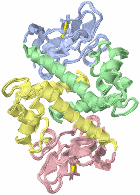 Image NMR Structure - all models