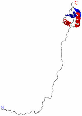 Image NMR Structure - model 1