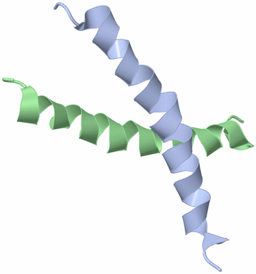 Image NMR Structure - model 1