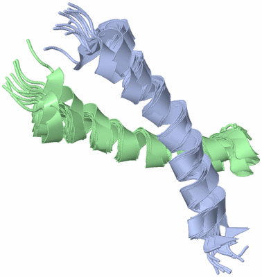 Image NMR Structure - all models