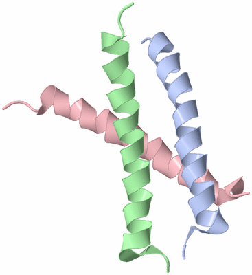 Image NMR Structure - model 1