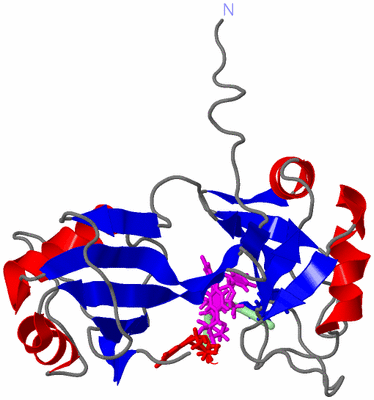 Image NMR Structure - model 1