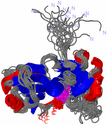 Image NMR Structure - all models