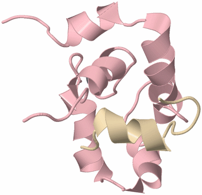 Image NMR Structure - model 1