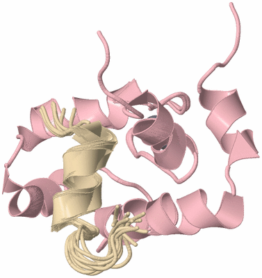 Image NMR Structure - all models