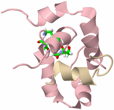 Image NMR Structure - model 1, sites