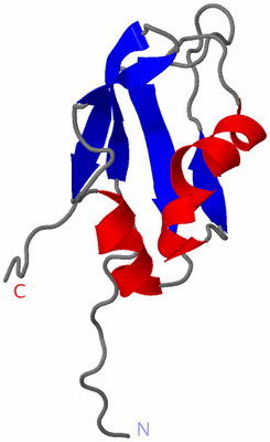 Image NMR Structure - model 1