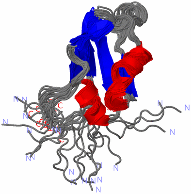 Image NMR Structure - all models