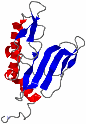 Image NMR Structure - model 1