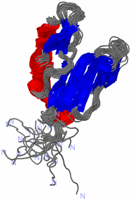 Image NMR Structure - all models