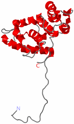 Image NMR Structure - model 1