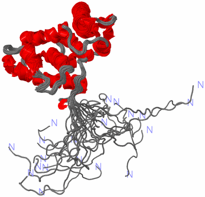 Image NMR Structure - all models