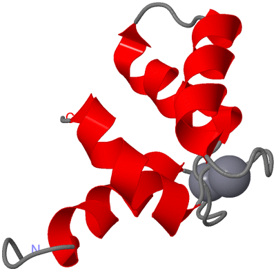 Image NMR Structure - model 1