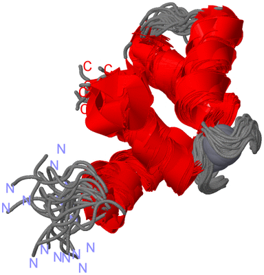 Image NMR Structure - all models