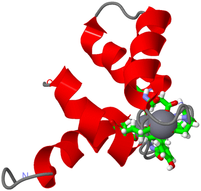 Image NMR Structure - model 1, sites