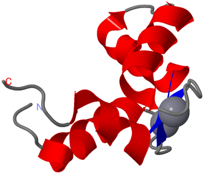 Image NMR Structure - model 1