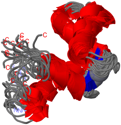 Image NMR Structure - all models