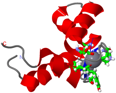 Image NMR Structure - model 1, sites