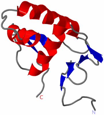 Image NMR Structure - model 1