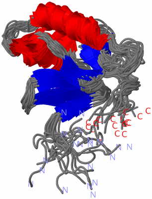 Image NMR Structure - all models