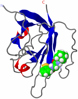 Image NMR Structure - model 1