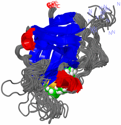 Image NMR Structure - all models