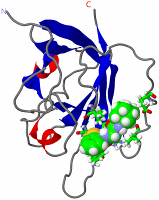 Image NMR Structure - model 1, sites