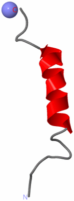 Image NMR Structure - model 1
