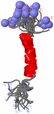 Image NMR Structure - all models
