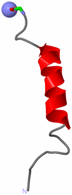 Image NMR Structure - model 1, sites