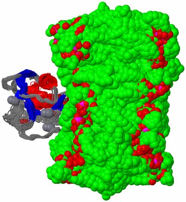 Image NMR Structure - all models