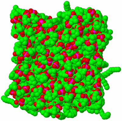 Image NMR Structure - model 1, sites