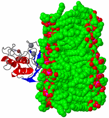 Image NMR Structure - model 1