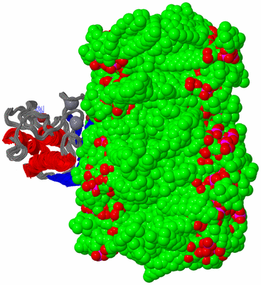 Image NMR Structure - all models