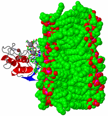 Image NMR Structure - model 1, sites