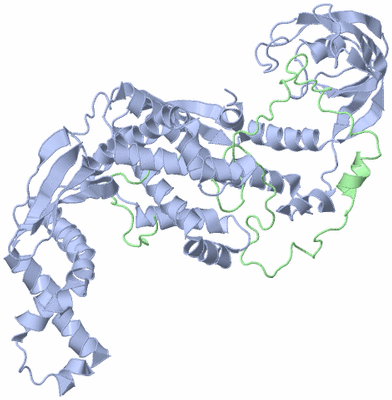 Image NMR Structure - model 1