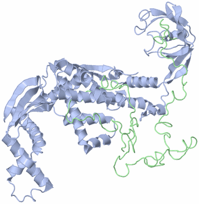 Image NMR Structure - model 1