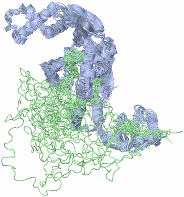 Image NMR Structure - all models