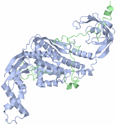 Image NMR Structure - model 1