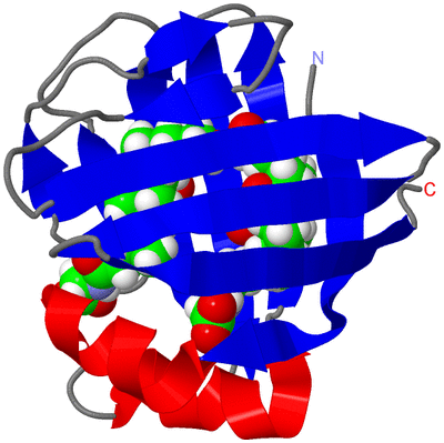 Image NMR Structure - model 1