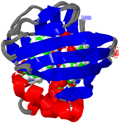 Image NMR Structure - all models